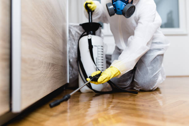 Best Affordable Pest Control Services  in Beale Af, CA