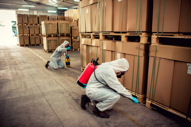Best Best Pest Control Near Me  in Beale Af, CA