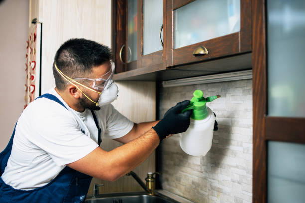 Best Emergency Pest Control  in Beale Af, CA