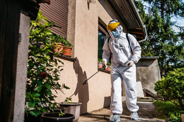 Best Wildlife Control Services  in Beale Af, CA