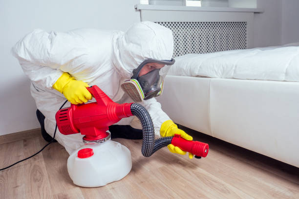 Trusted Beale Af, CA Pest Control Experts