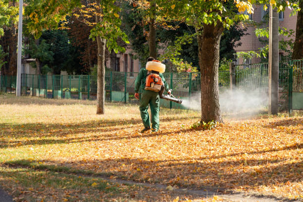 Best Exterminator Services  in Beale Af, CA