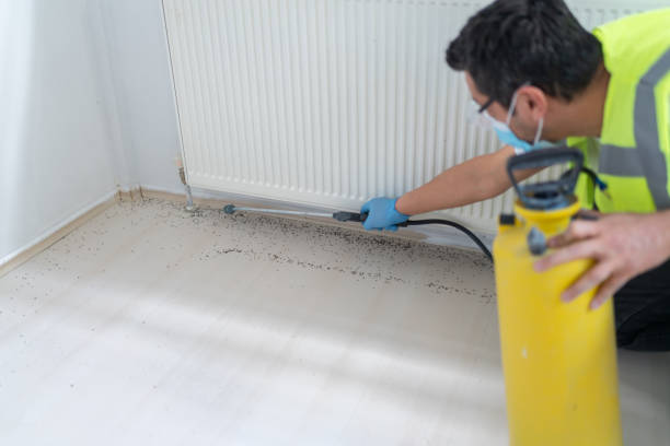 Best Affordable Pest Control Services  in Beale Af, CA